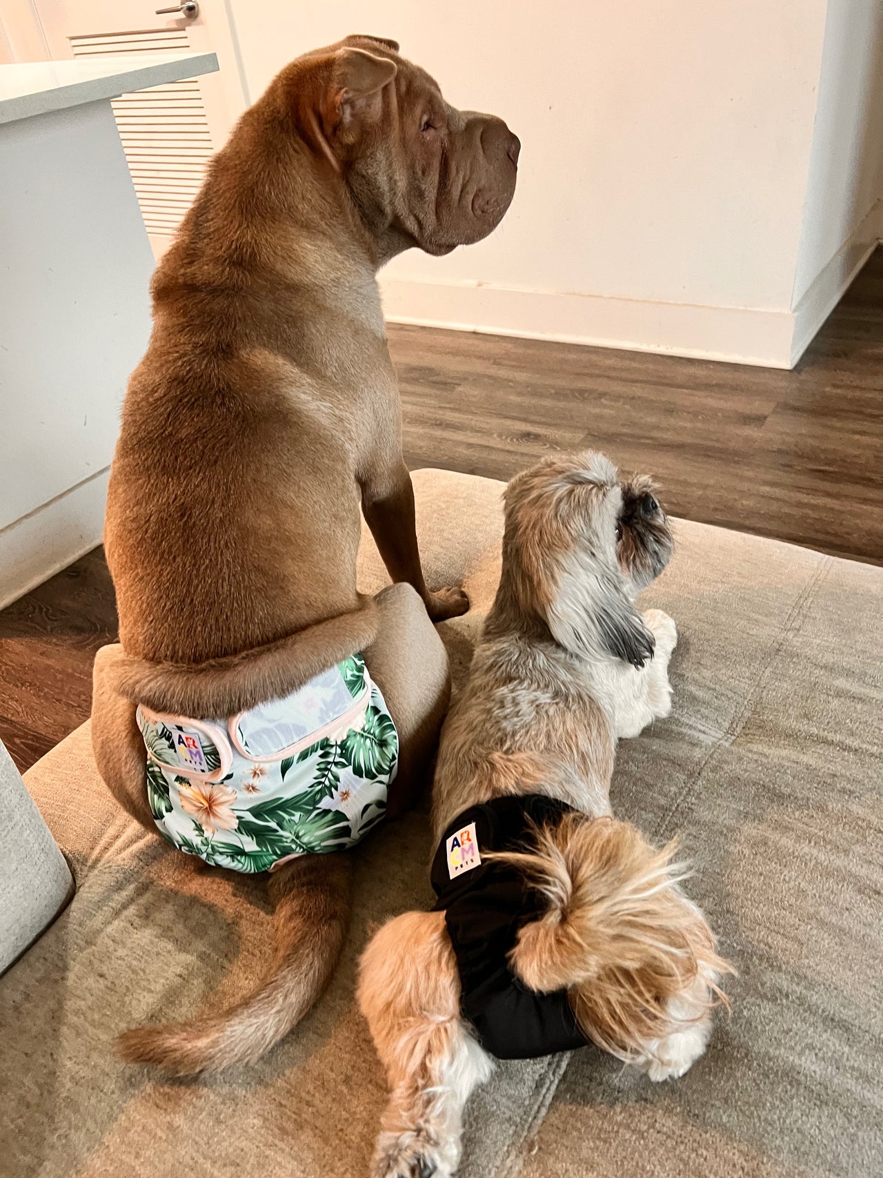 Tailwag Diaper Bundle – Savings, Convenience, and Peace of Mind for You and Your Pet